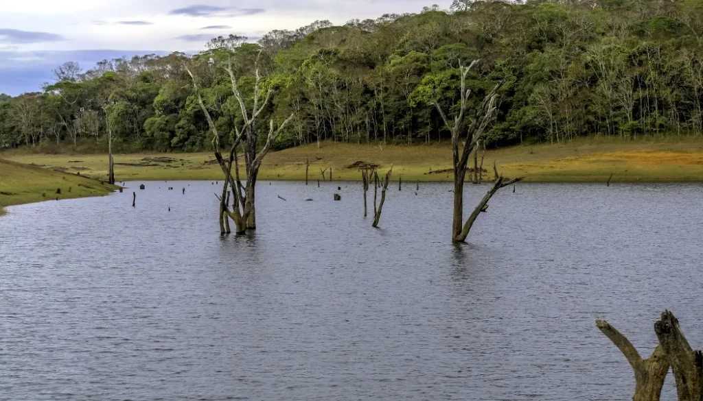 Premium Resort near Periyar Wildlife Sanctuary