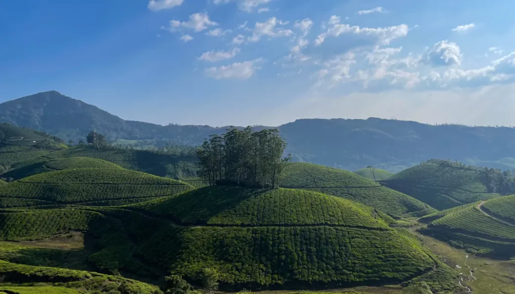 Staying at the Best Luxury Resort in Thekkady