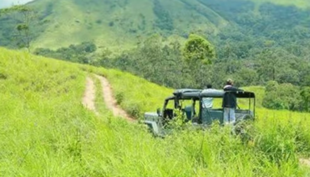 Wildlife Safaris and Nature Walks in Thekkady