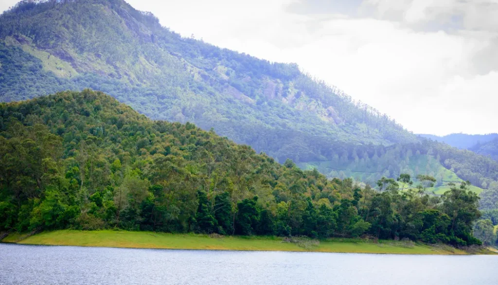 Best Resort Near Munnar’s Top Attractions