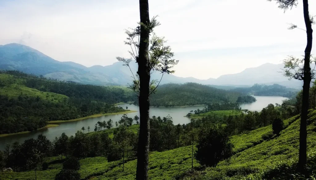 Honeymoon Packages in Thekkady Resort