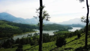 Honeymoon Packages in Thekkady Resort