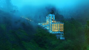 Planning a Luxury Honeymoon in Munnar