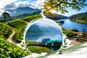 Why More Couples Are Choosing Thekkady for Their Second Honeymoon