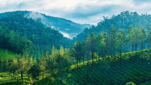 privacy is the new luxury in Thekkady