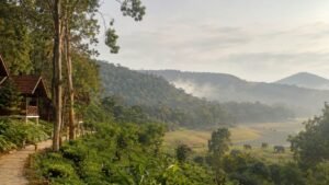 Resorts Near Periyar Tiger Reserve