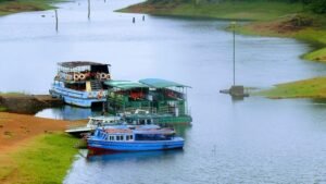 Munnar and Thekkady Vacation: A Perfect Kerala Travel Itinerary