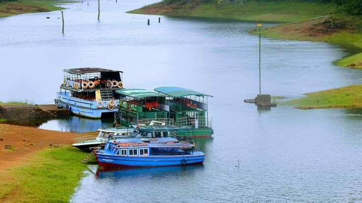 Munnar and Thekkady Vacation: A Perfect Kerala Travel Itinerary