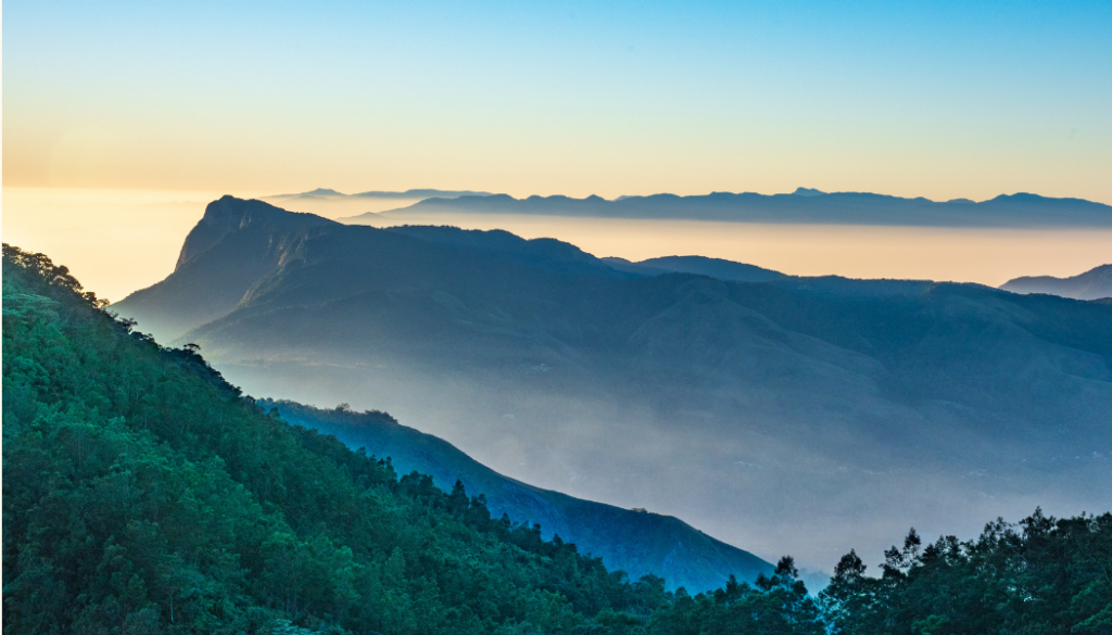 Kochi to Thekkady