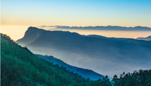 Kochi to Thekkady