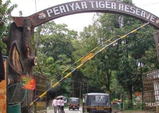 Discover Thekkady Kerala India: A Wildlife Journey Through Periyar Tiger Reserve