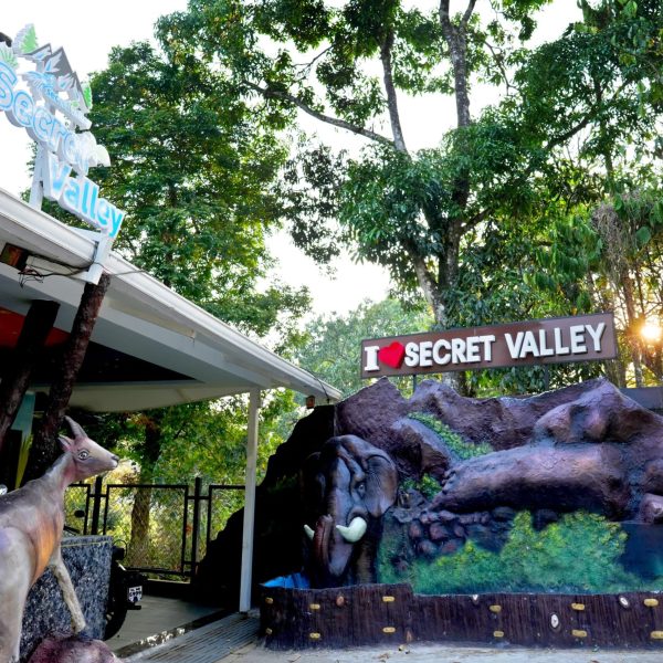 WhatsApp Image 2025-11-06 at 11.58.38 AM (1)