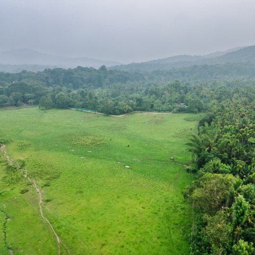 WhatsApp Image 2026-01-16 at 3.04.50 PM (2)